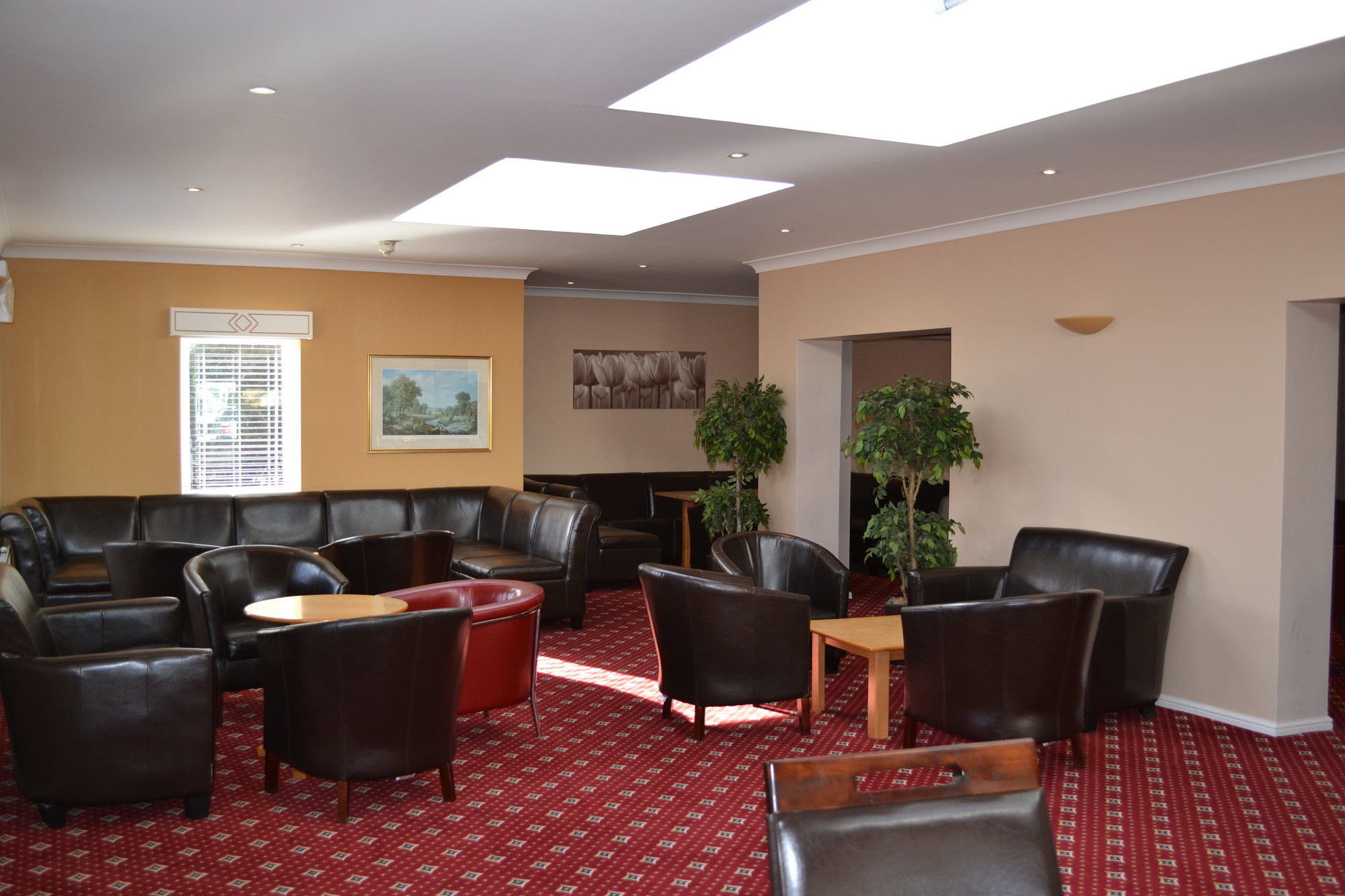 Chichester Park Hotel Exterior foto
